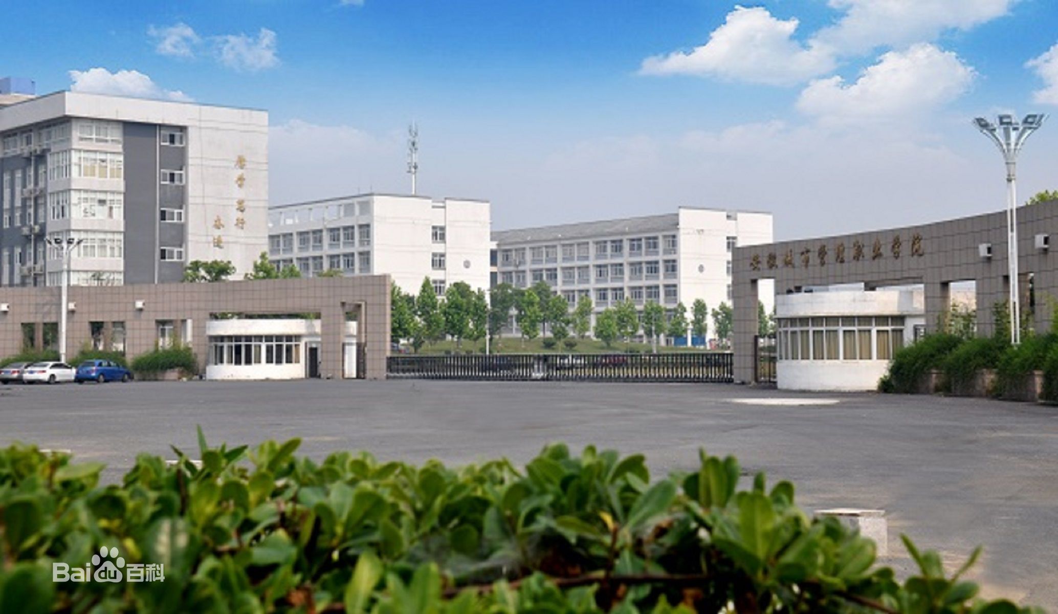 安徽城市管理職業(yè)學(xué)院特色專業(yè)有哪些?殯葬專業(yè)怎么樣地址在哪?