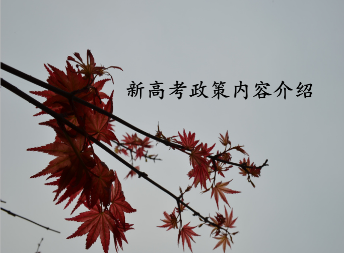2023新高考政策出爐內(nèi)容介紹,新高考政策是否會取消復(fù)讀?