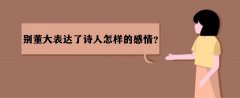 e_Ԋӵĸ飿eɾ˼