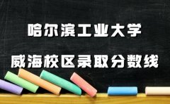 哈爾濱工業大學威海校區2023錄取分數線(數據作2023年參考)